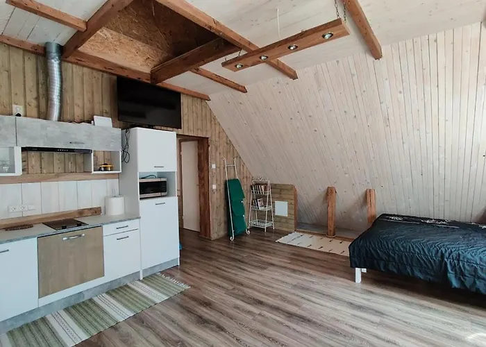 Oekopesa Kuelaliskorterid Otepää