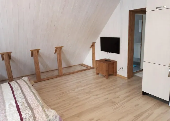 Oekopesa Kuelaliskorterid Lägenhet Otepää